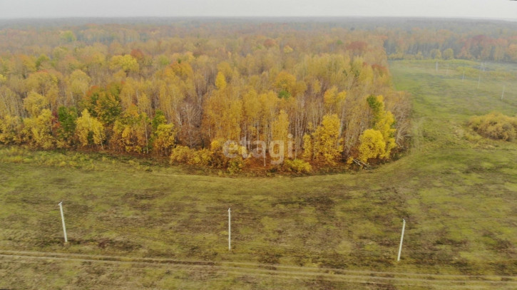 Земельный участок Горьковское МО