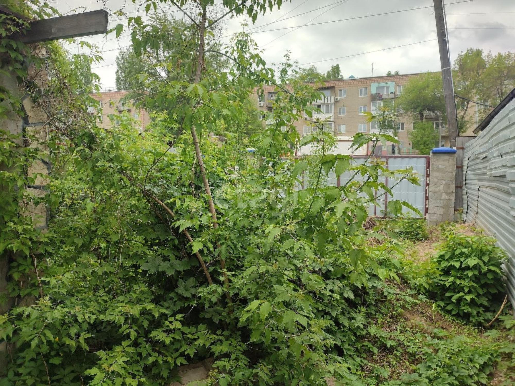 Купить дачу, дом, коттедж за 2 600 000 рублей на Полиграфическая улица