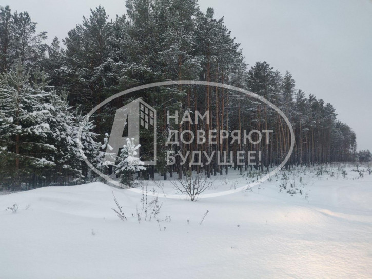 Земельный участок Чайковский