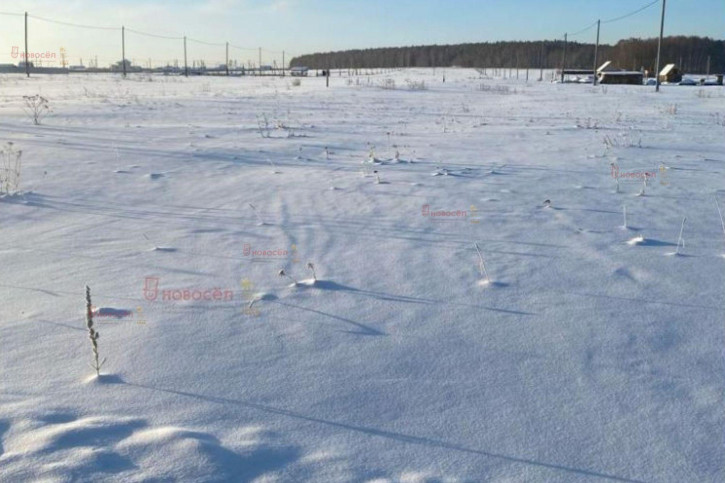 Земельный участок поселок Зеленый Лог