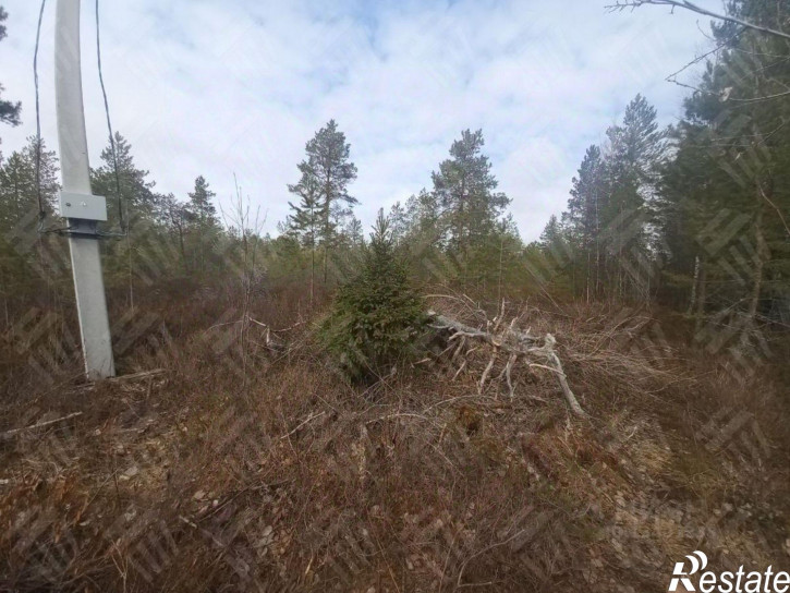 Земельный участок Берёзовая улица