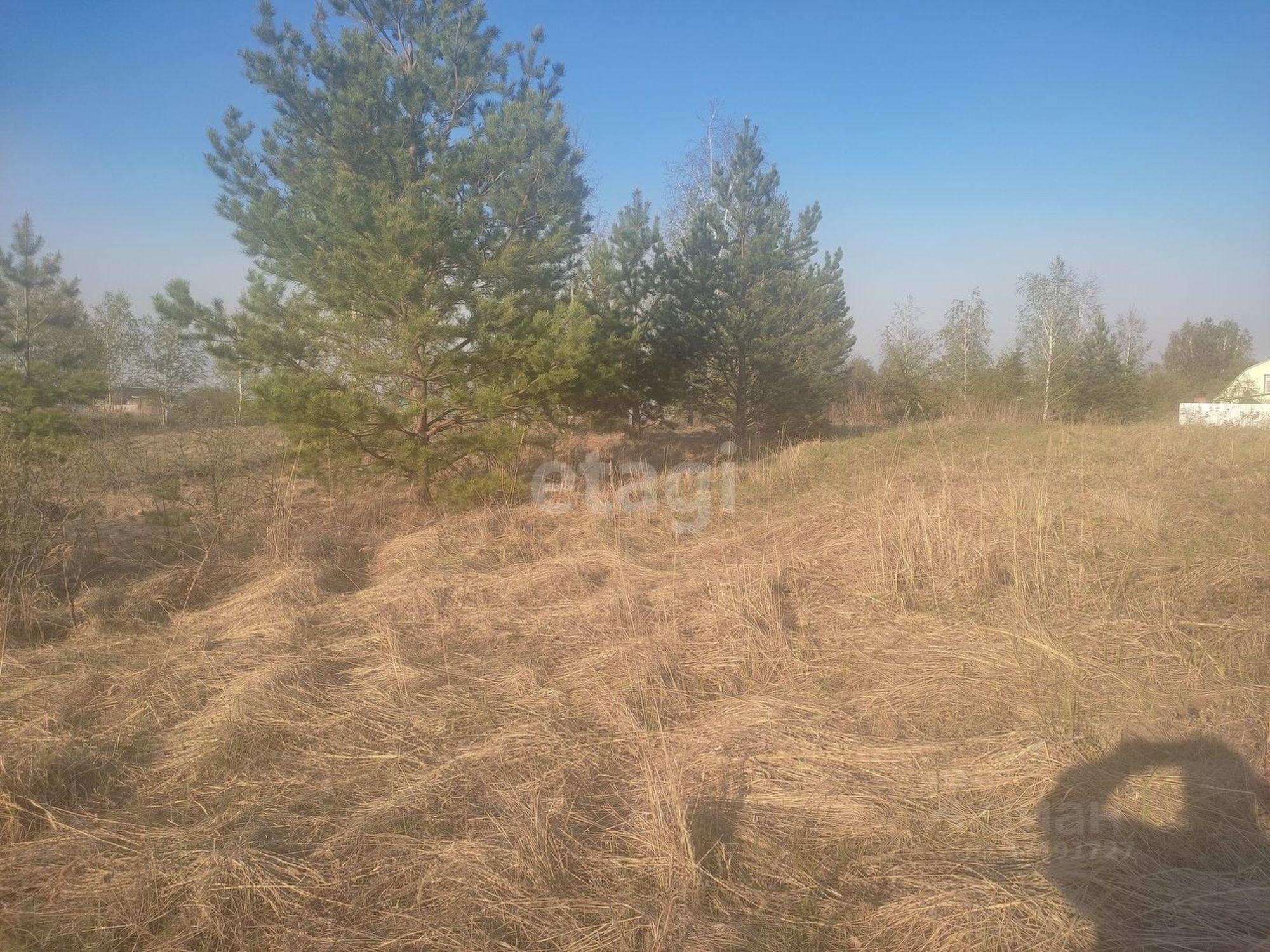 Купить землю, земельный участок за 130 000 рублей на территория Борки,,
