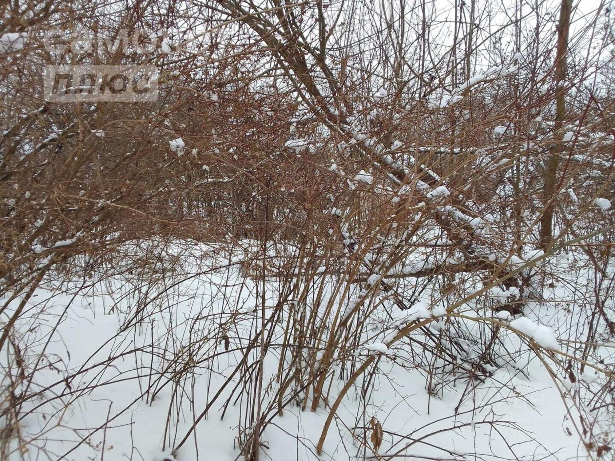 Купить землю, земельный участок за 225 000 рублей на Пролетарская улица, 15