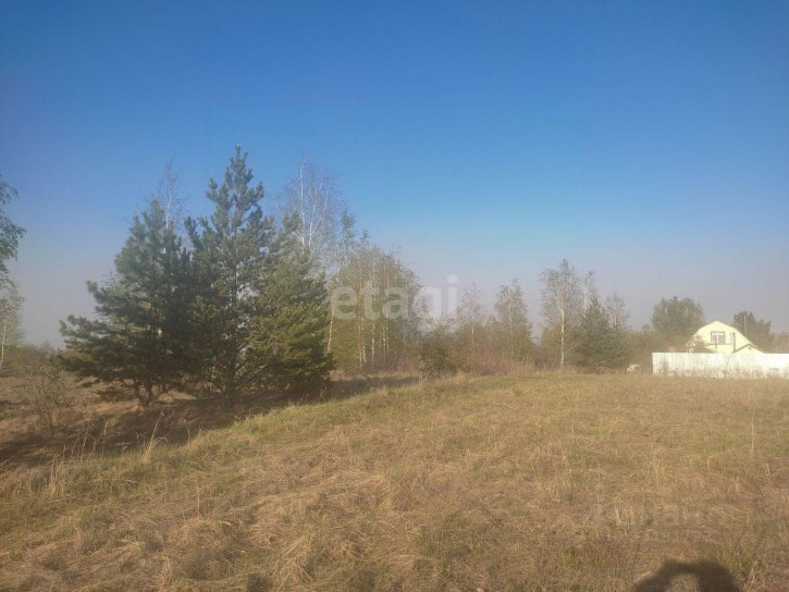 Земельный участок территория Борки,,