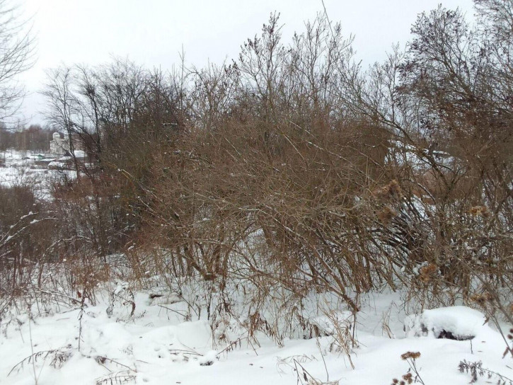 Земельный участок Пролетарская улица, 15,  д. 15