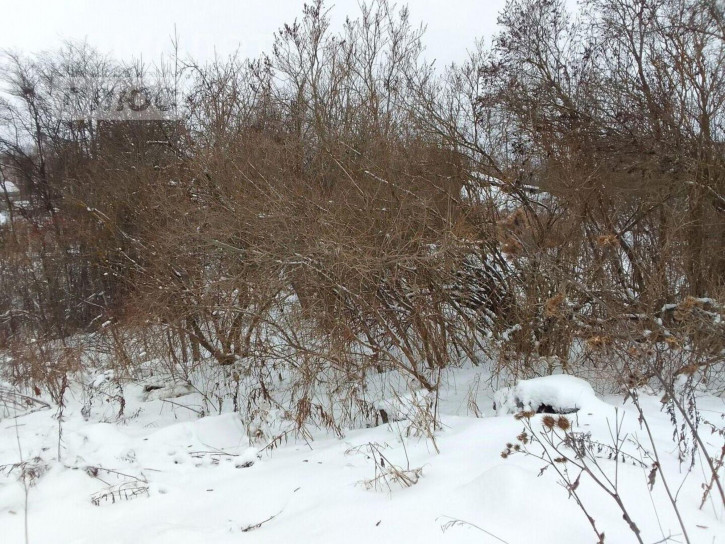Земельный участок Пролетарская улица, 15,  д. 15