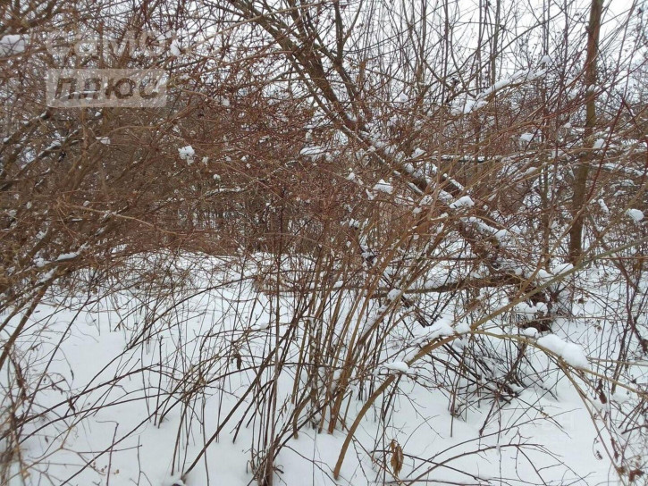 Земельный участок Пролетарская улица, 15,  д. 15