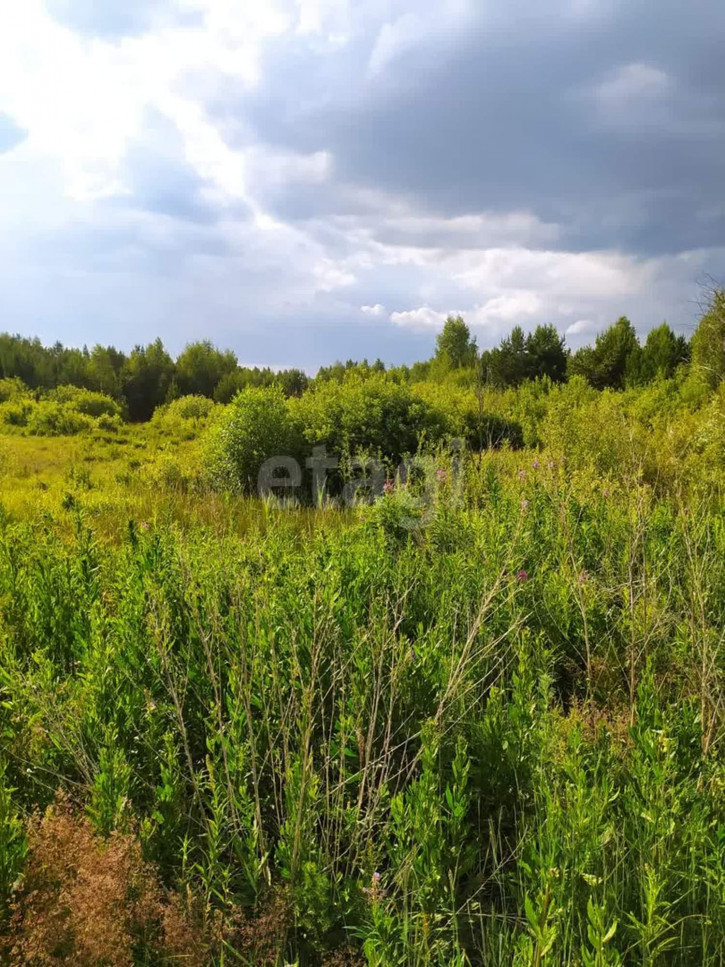 Земельный участок КП Шервуд Парк,3-я Парковая 8