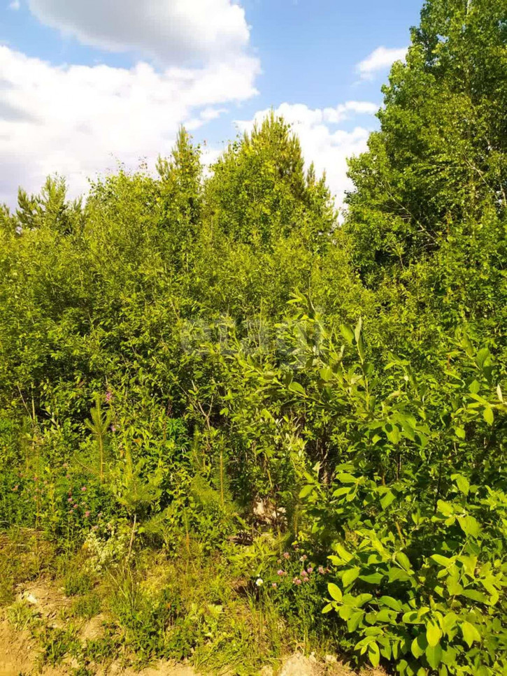 Земельный участок КП Шервуд Парк,4-ая Парковая 3