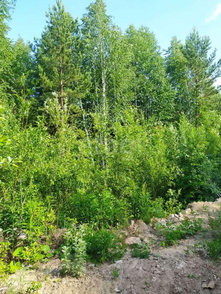Земельный участок КП Шервуд Парк,3-я Парковая 4