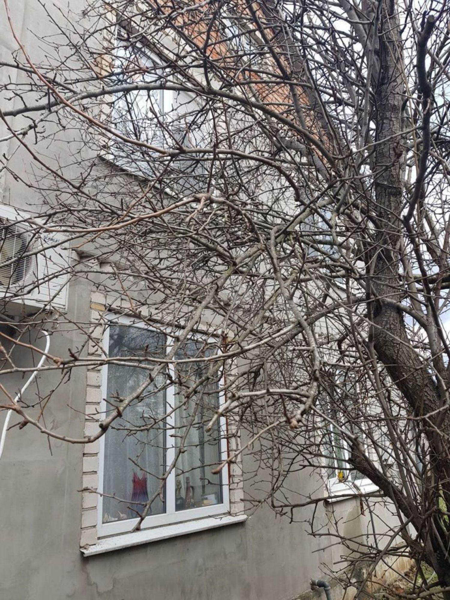 Купить дачу, дом, коттедж за 4 500 000 рублей на Лунная ул