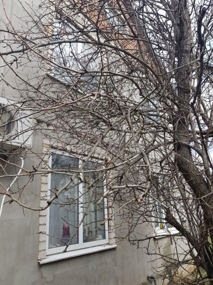 Коттедж/дом Лунная ул
