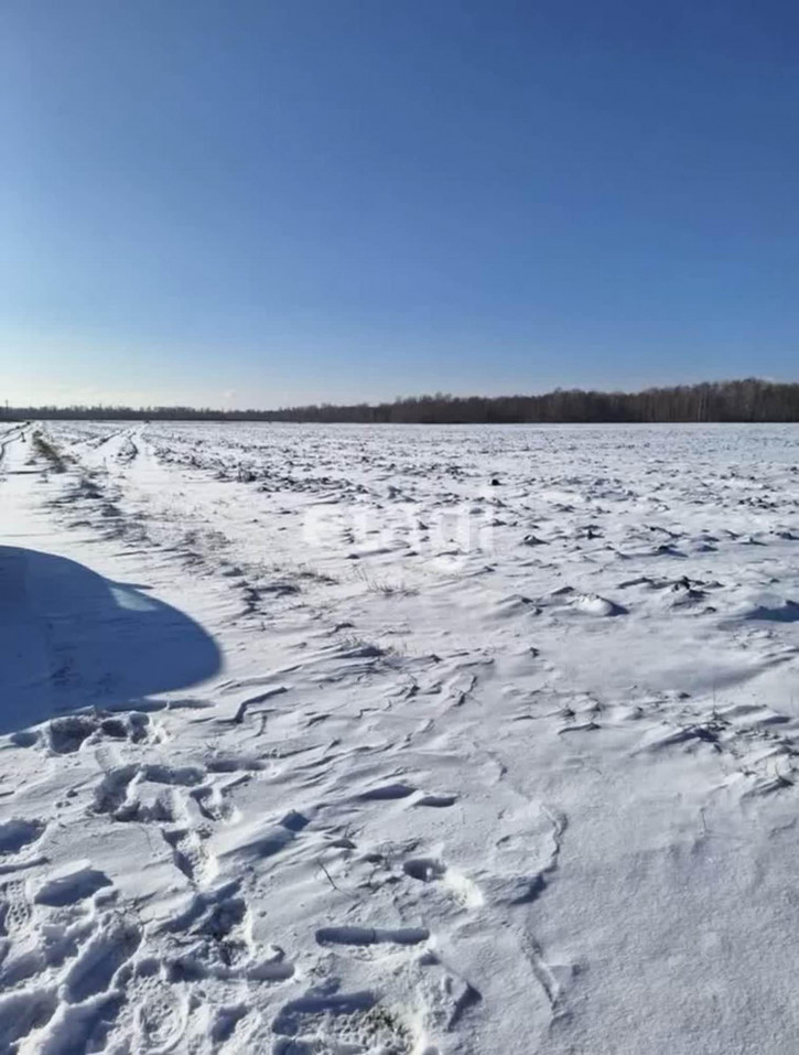Земельный участок Горьковское МО