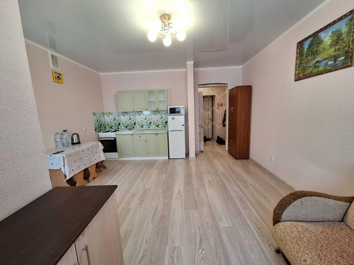 1-комн квартира Асхата Мирзагитова ул, 10/1