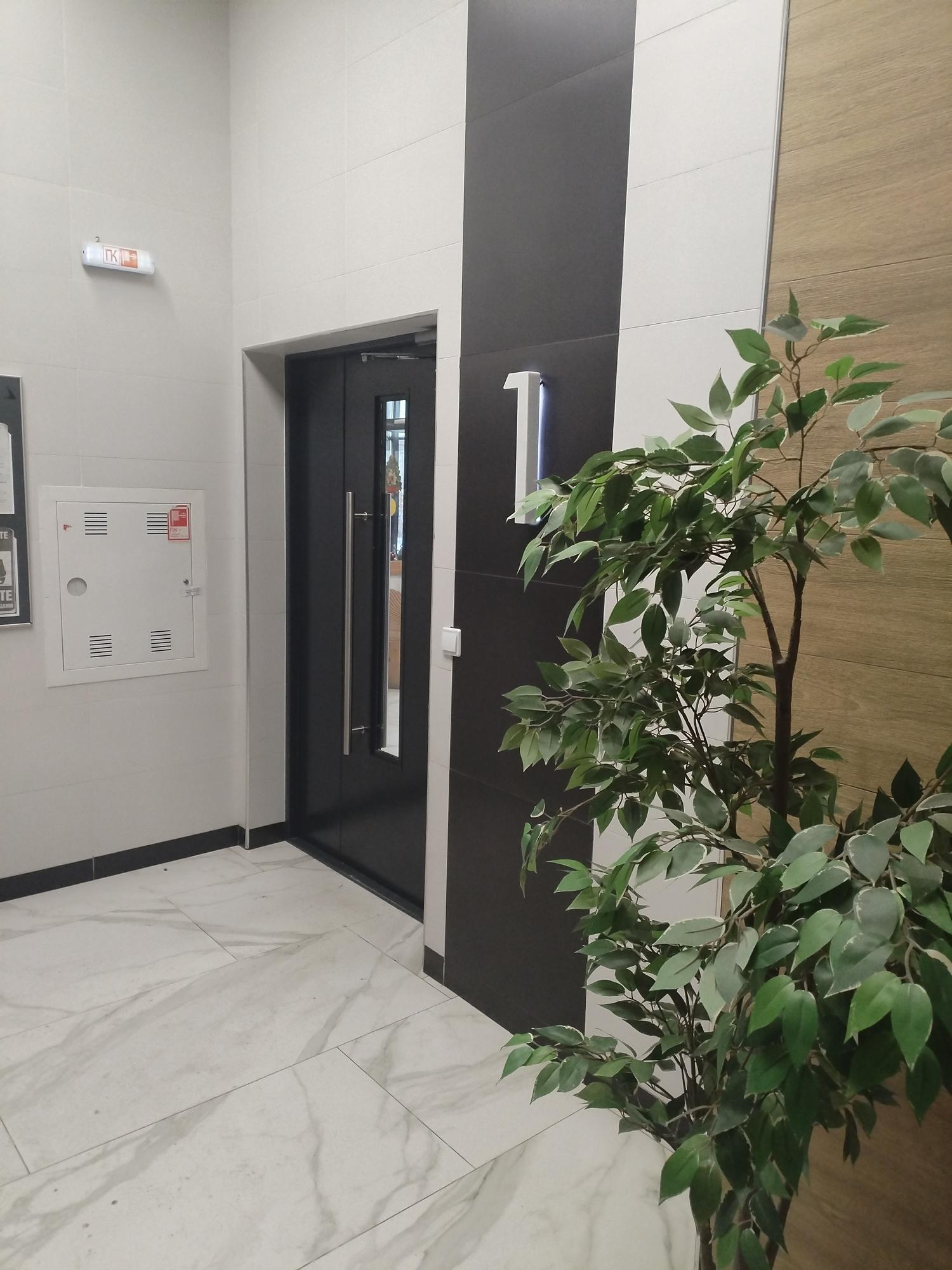 Купить квартиру за 12 990 000 рублей на Лызина, 9