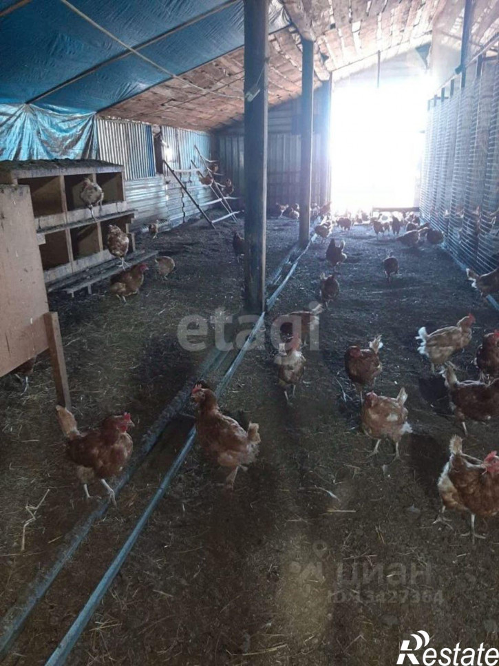 Склад Центральная улица, поселок Учхоз