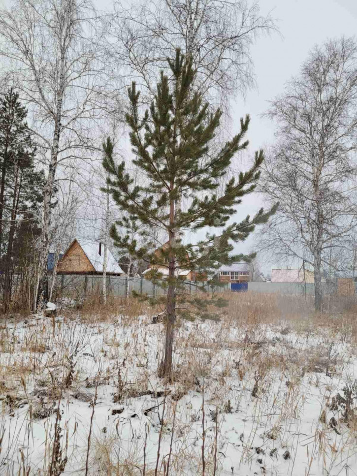 Земельный участок 1-ая,