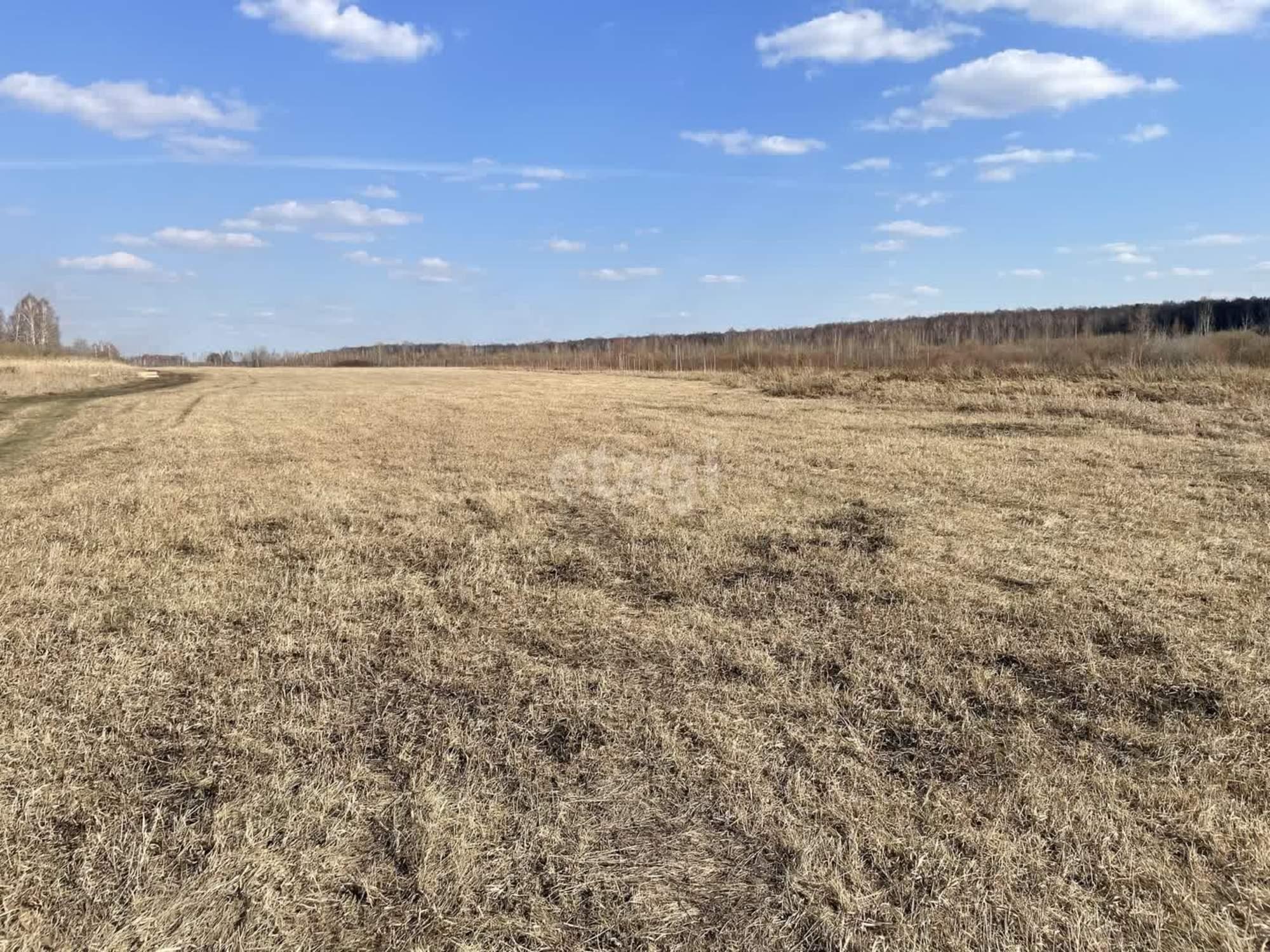 Купить землю, земельный участок за 45 000 000 рублей на село Ембаево