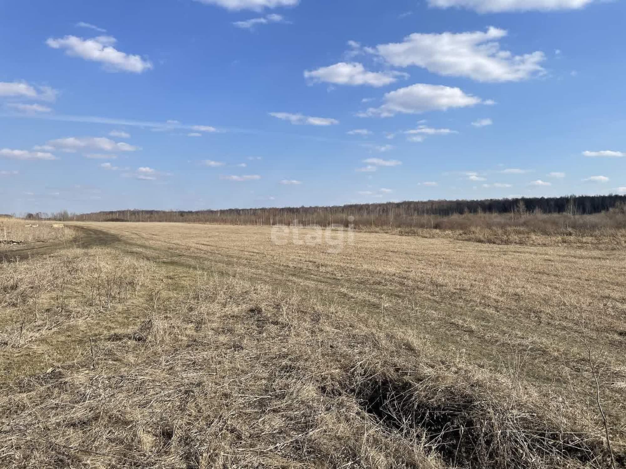 Купить землю, земельный участок за 45 000 000 рублей на село Ембаево