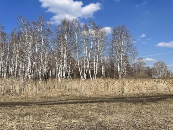 Земельный участок село Ембаево