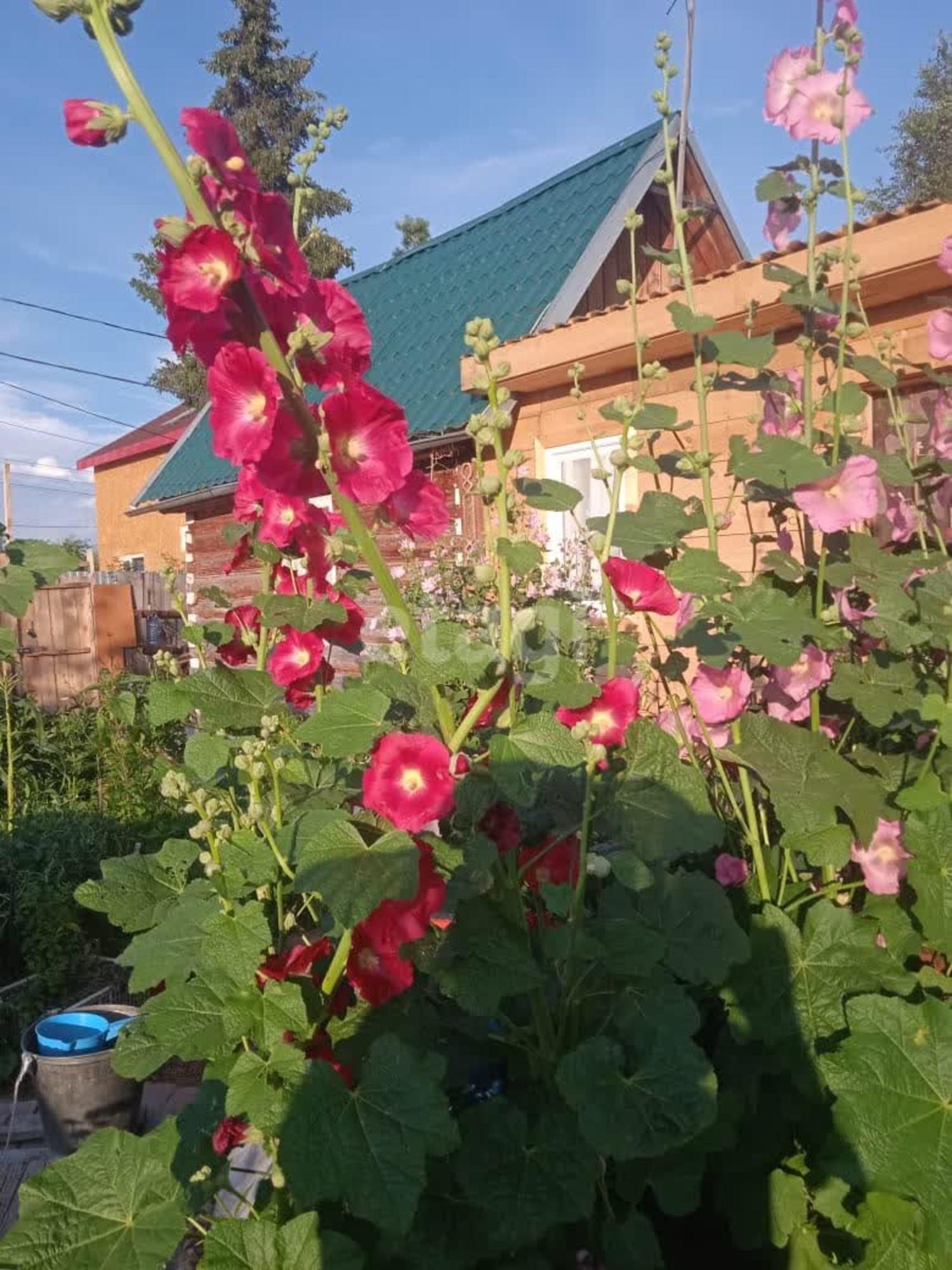 Купить дачу, дом, коттедж за 3 450 000 рублей на 10-я Садовая, 5