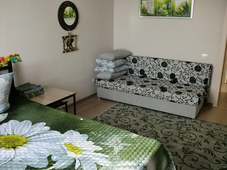 1-комн квартира Пионерский проспект, 57к3