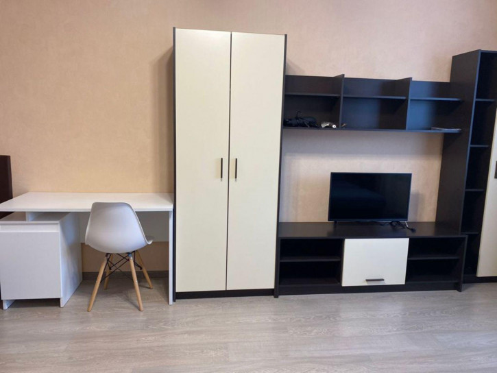 1-комн квартира Фрунзе пр-кт, 31