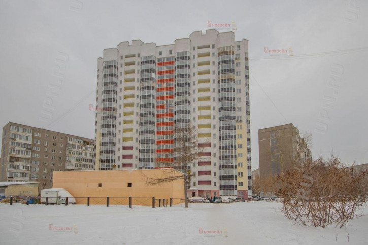 3-комн квартира софьи перовской, 117/а