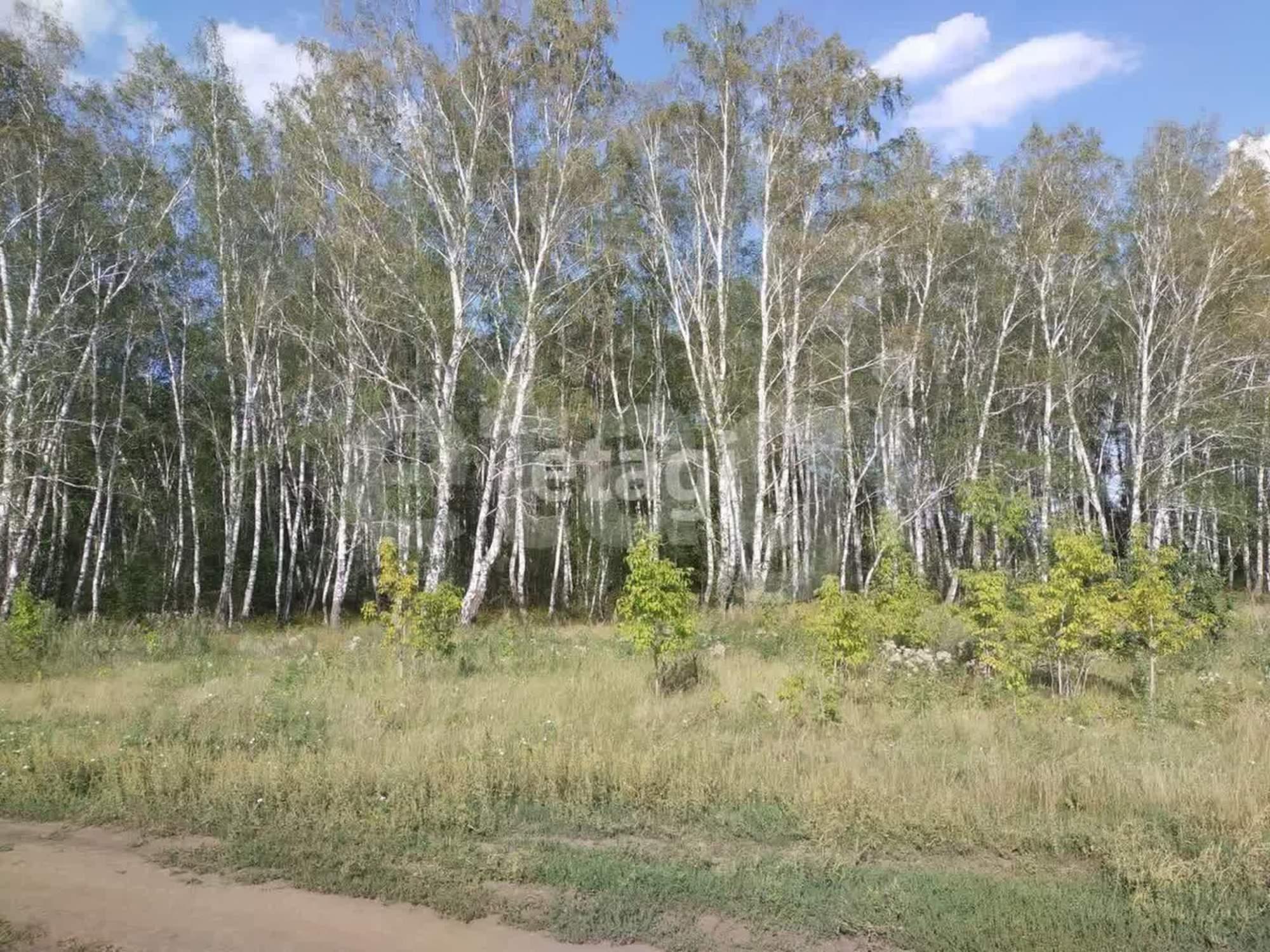 Купить землю, земельный участок за 300 000 рублей на Южная,