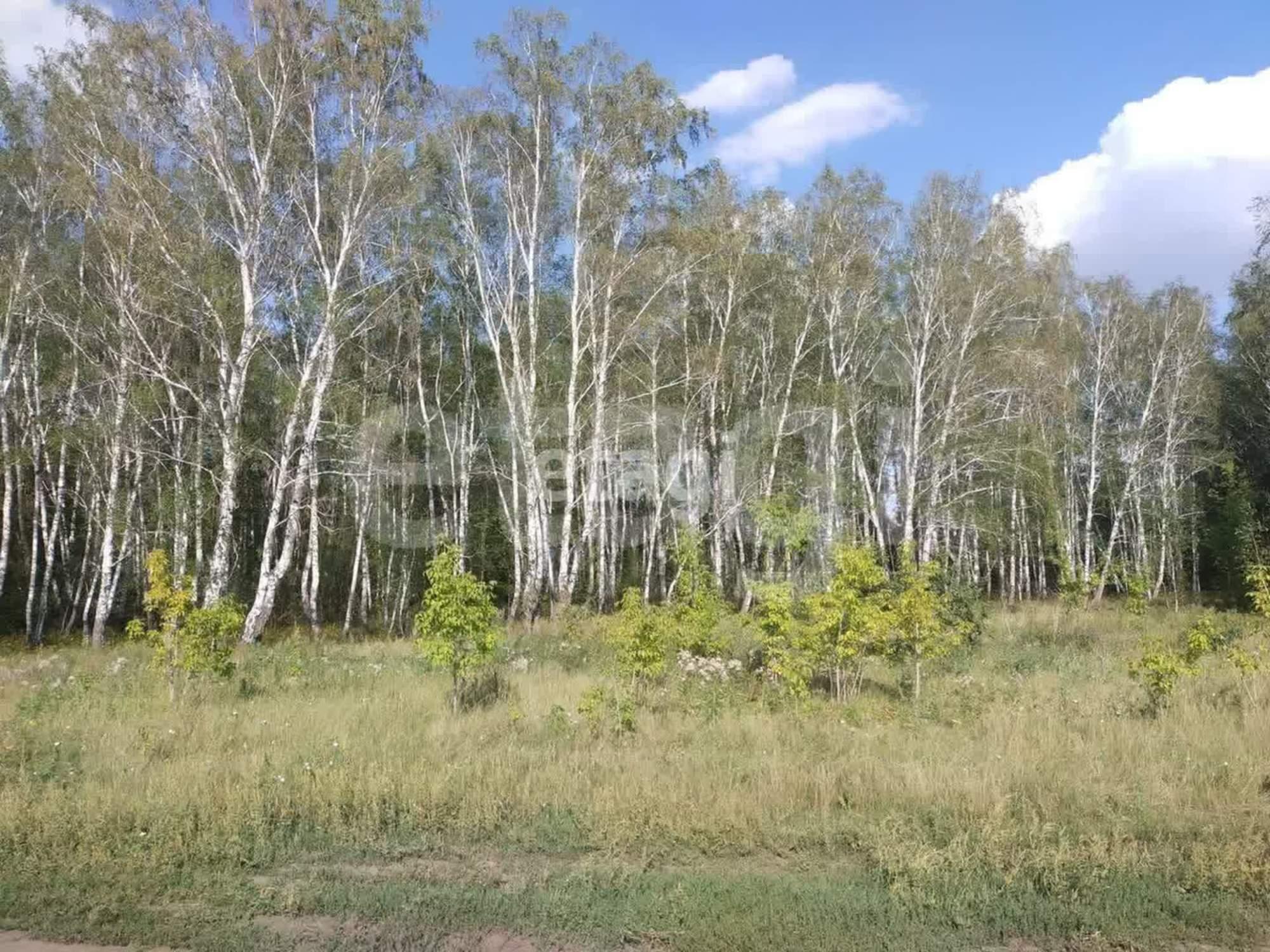 Купить землю, земельный участок за 300 000 рублей на Южная,