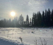земля 12.7 сот КП Дарвин, 26