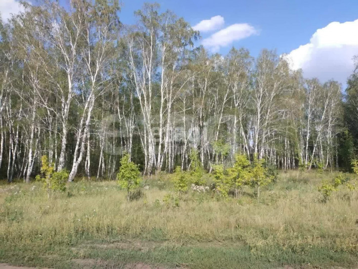 Земельный участок Южная,