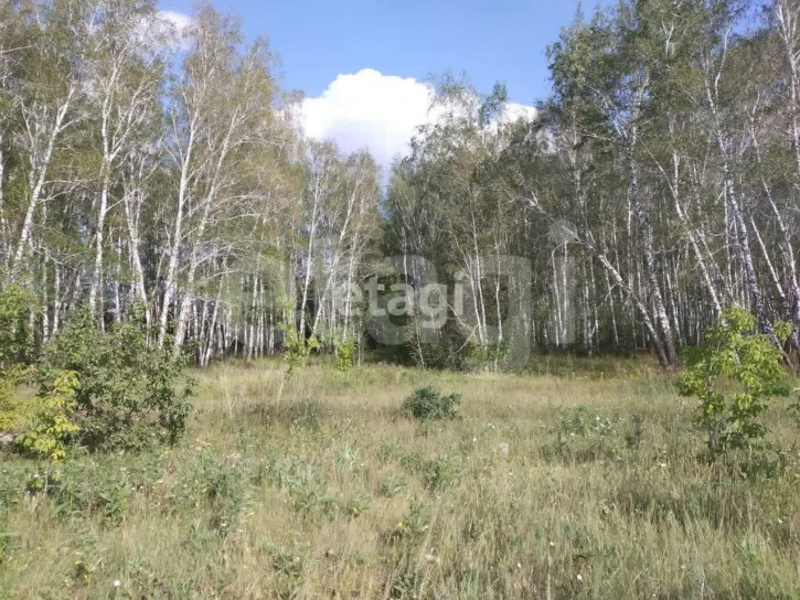 Земельный участок Южная,