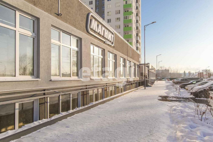 Студия Велижанская, 66/1