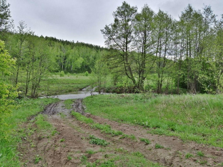 Земельный участок Павло-Куракино с