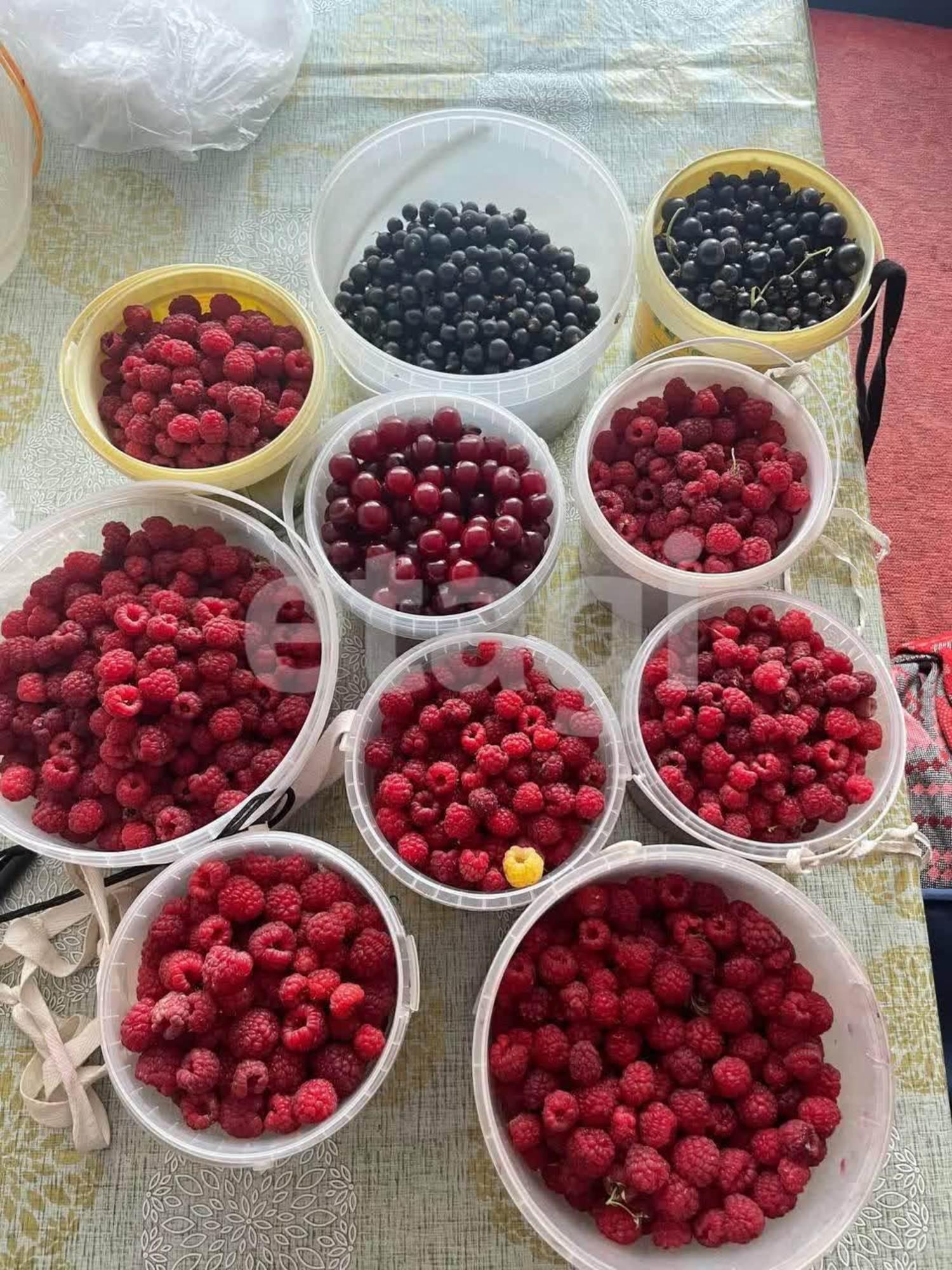 Купить дачу, дом, коттедж за 1 350 000 рублей на Виктория СТ