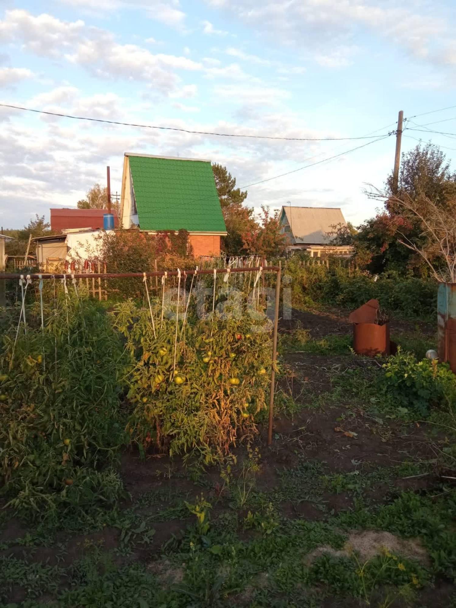 Купить дачу, дом, коттедж за 750 000 рублей на Шинник-3 СНТ