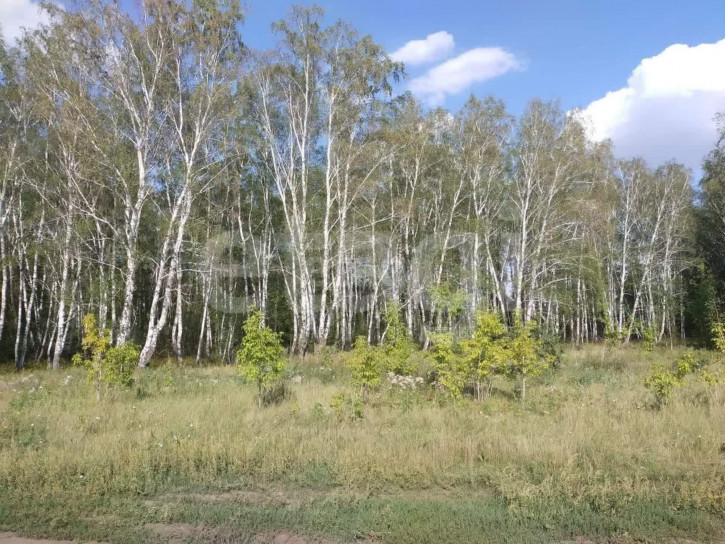 Земельный участок Аркатовская,