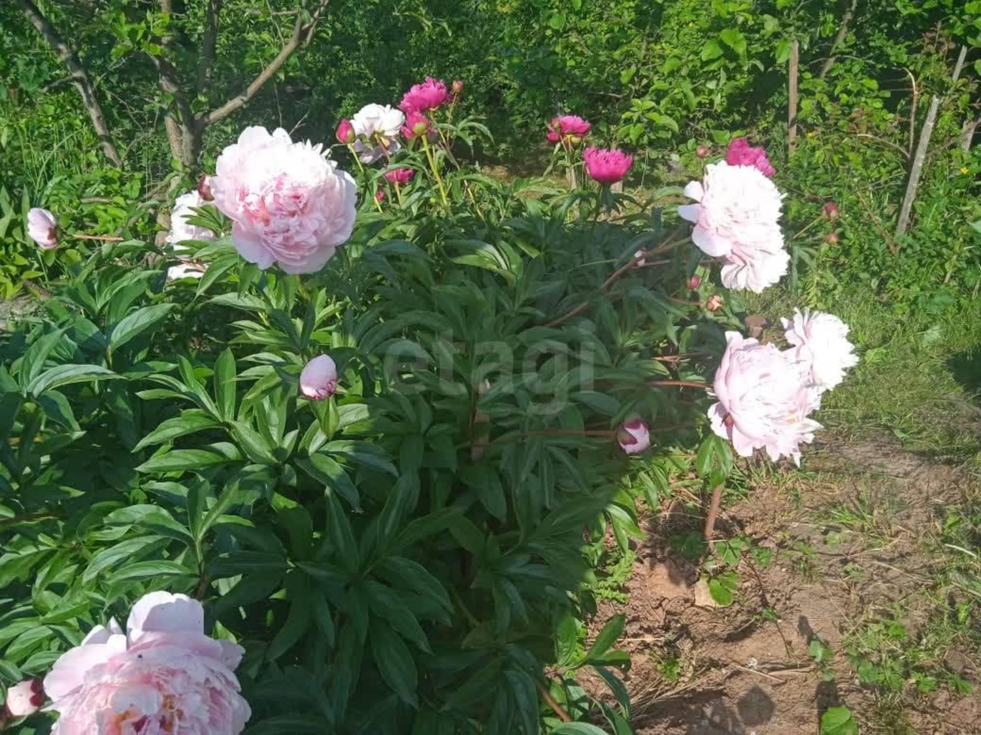 Купить дачу, дом, коттедж за 750 000 рублей на Школьная улица,