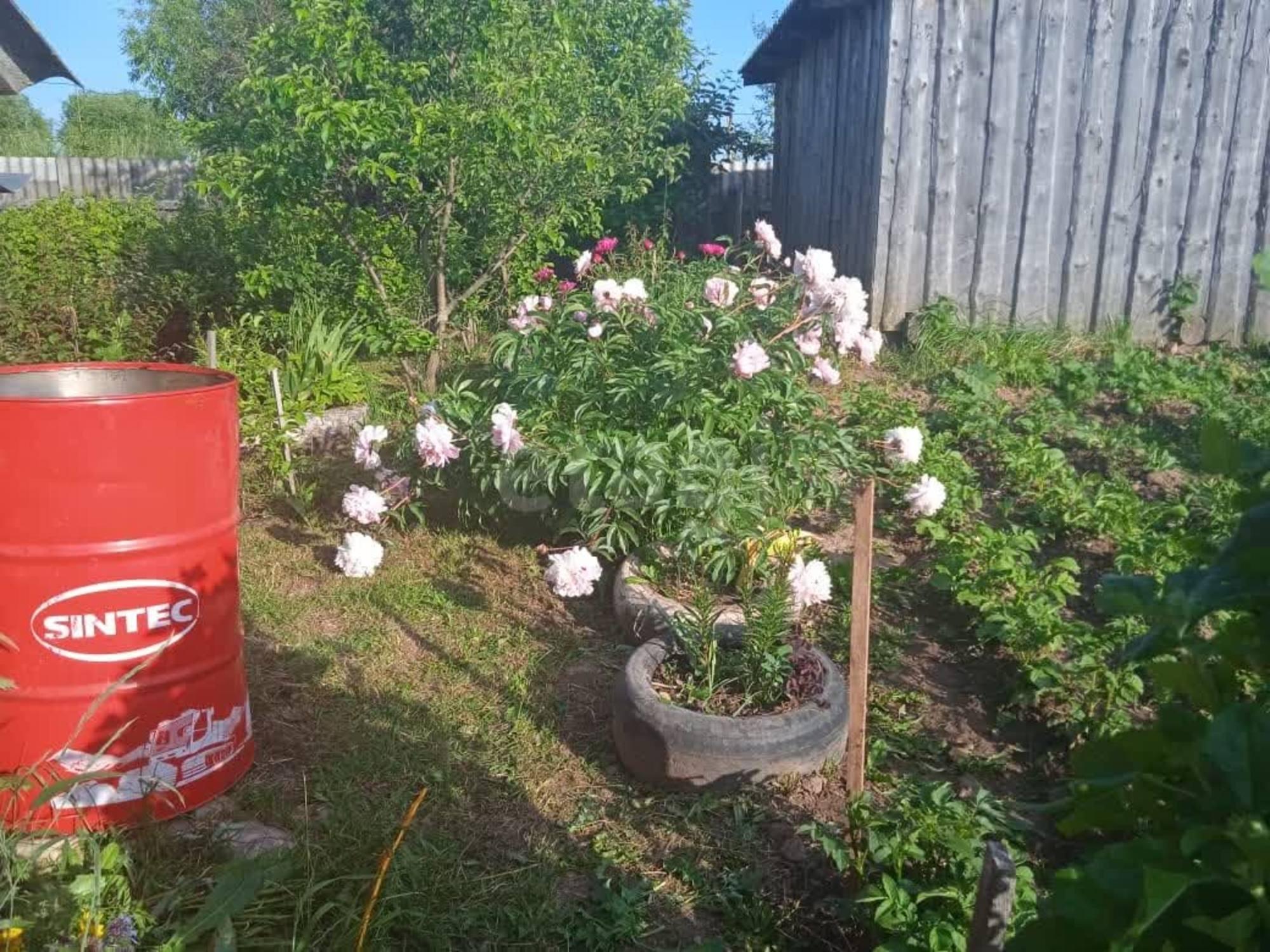 Купить дачу, дом, коттедж за 750 000 рублей на Школьная улица,