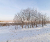 земля 1180 сот Ярковский район,деревня Тараканова