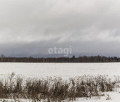 земля 4720 сот Тюмень