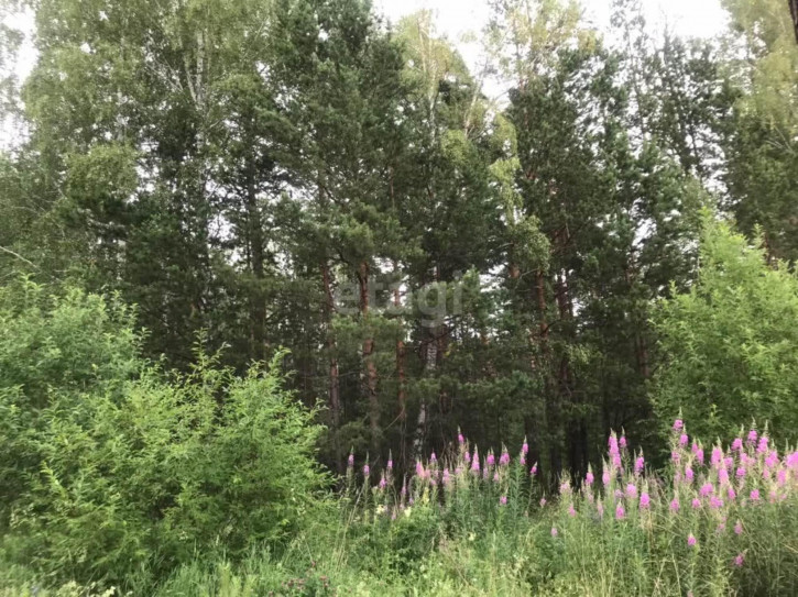 Земельный участок Дегтярск, 201