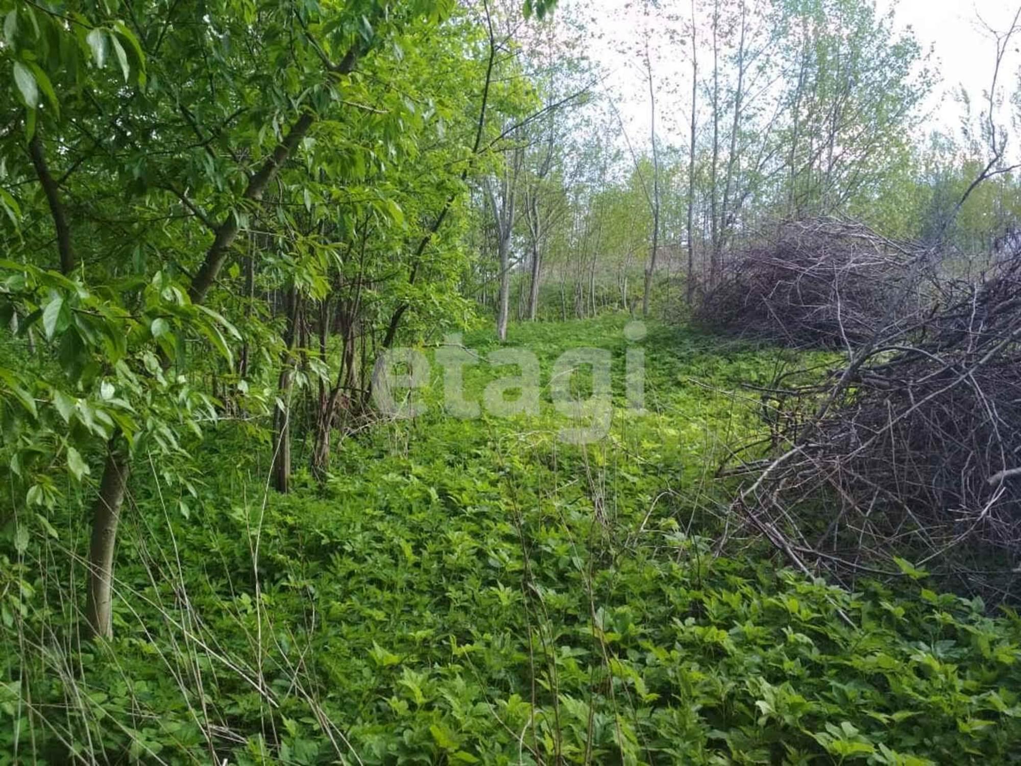 Купить землю, земельный участок за 750 000 рублей на Палкино
