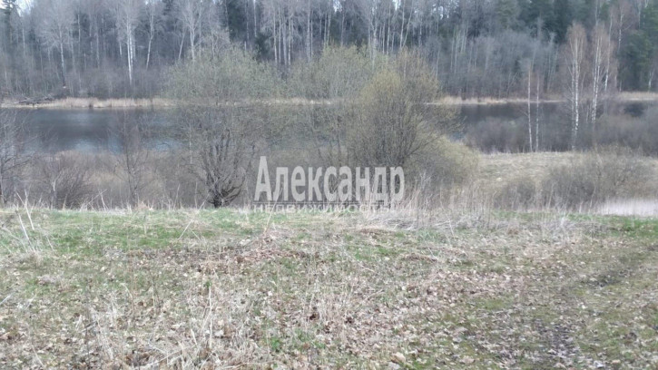 Земельный участок Борцово дер.