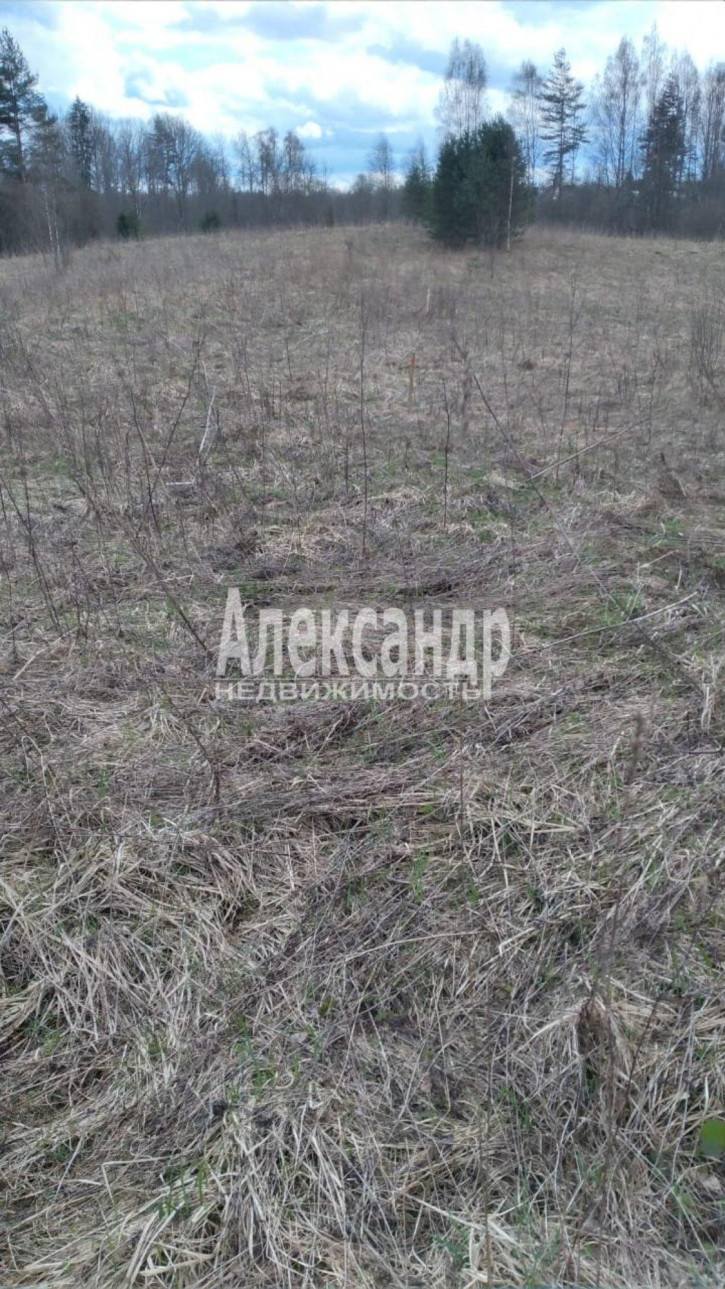 Земельный участок Борцово дер.