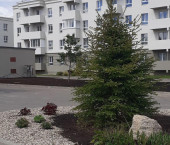1-комн, 36кв м, этаж 2/4 Медовая ул, 6 кор1