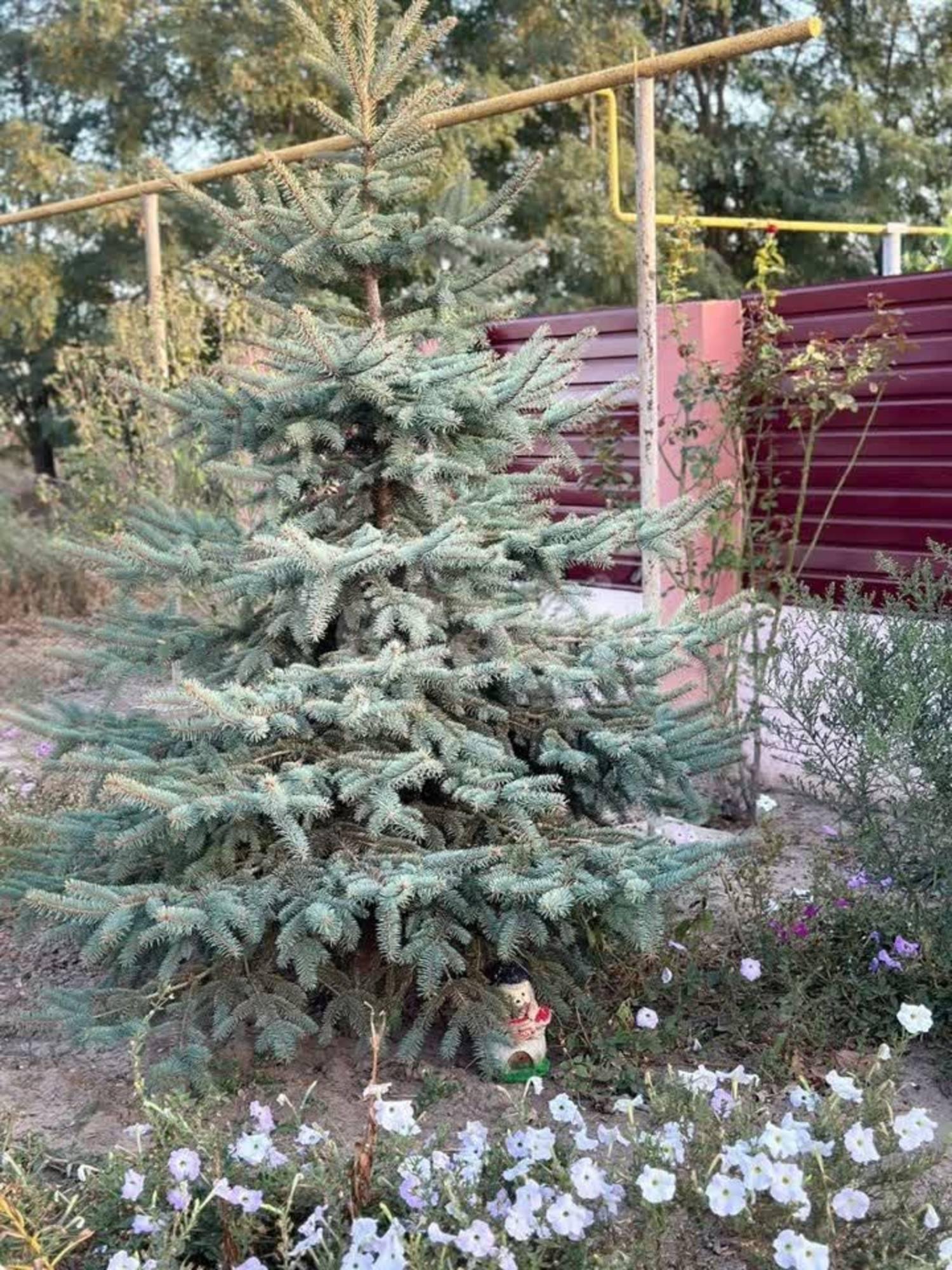 Купить дачу, дом, коттедж за 7 000 000 рублей на Большая Степная