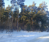 коттедж 51 кв м улица Лесная Поляна, 12