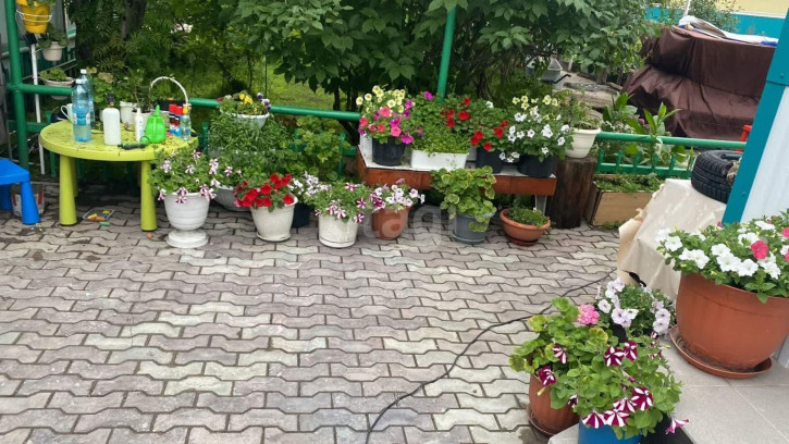 Коттедж/дом Союзная